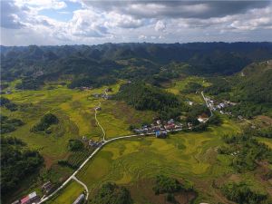 天峨（黔桂界）至北海公路（平塘至天峨（广西段））