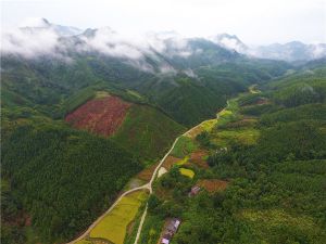 天峨（黔桂界）至北海公路（平塘至天峨（广西段））项目K42+000附近地形地貌