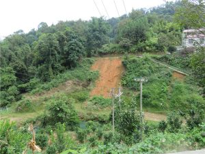 天峨（黔桂界）至北海公路（天峨经凤山至巴马段）项目L6K4+000附近滑坡